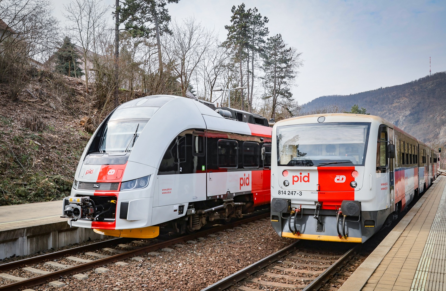 ReguioFox a Regionova